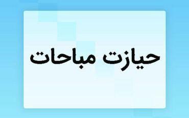 الحیازة باعتبارها منشأ جميع الملكيّات الابتدائية