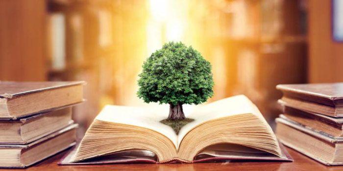 فقه تعلیم و تربیت