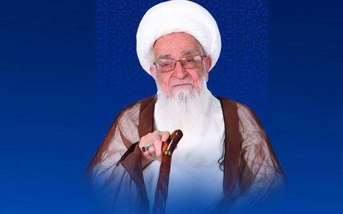آية الله العظمى صافي: إنّ ما تمّ إنجازه حتى الآن من قِبَل لجنة الفقه المعاصر هو عمل جبّار