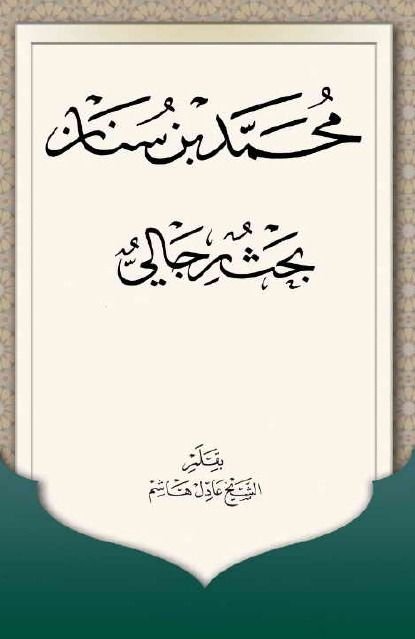 محمد بن سنان؛ بحث رجالی
